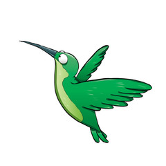 hummingbird 02