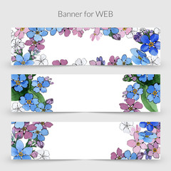 Wildflower forget-me-not flower frame in a watercolor style. Full name of the plant: forget-me-not. Aquarelle wild flower for background, texture, wrapper pattern, frame or border.