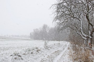 Winterlandschaft in Th&uuml;ringen