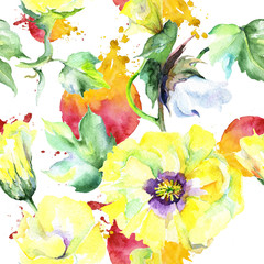 Fototapeta na wymiar Wildflower eustama flower pattern in a watercolor style. Full name of the plant: eustama. Aquarelle wild flower for background, texture, wrapper pattern, frame or border.