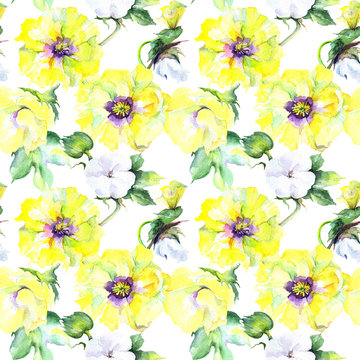 Wildflower eustama flower pattern in a watercolor style. Full name of the plant: eustama. Aquarelle wild flower for background, texture, wrapper pattern, frame or border.