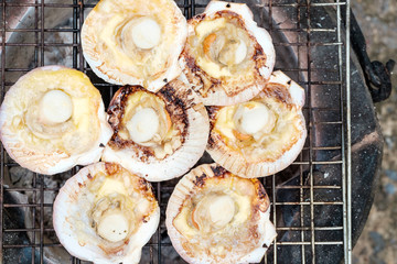 Grilled scallops with charcoal stove