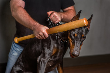 the man is beating the dog