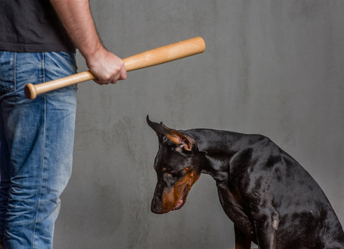 man with a baseball bat punishes a dog