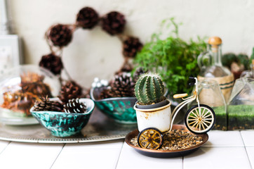 Decorate table with cactus in pot, then small tree and pine cones during Christmas.