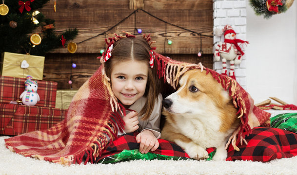 little girl and a dog under a warm blanket in a Christmas atmosphere