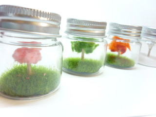 ボトルに入ったジオラマ