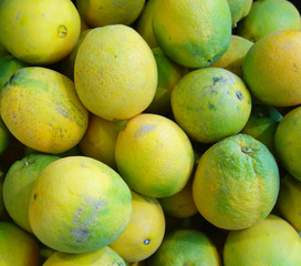 oranges