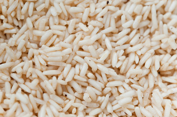 White glutinous rice