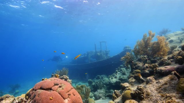 Ship wreck "Tugboat" in coral reef of Caribbean sea around Curacao  /Netherlands Antilles