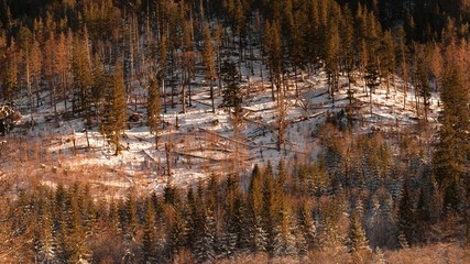 Colourful winter in snowy Tatra Mountains in Lesser Poland