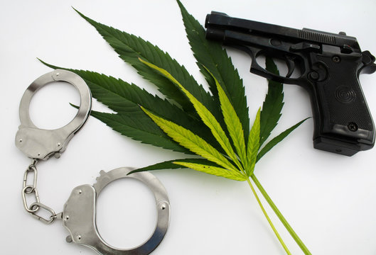 Hemp marijuana plant leaves crime danger illegal image with gun and cuffs
