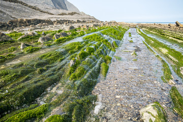 Spanien - Baskenland - Zumaia - Flysch an der Playa De Sakoneta
