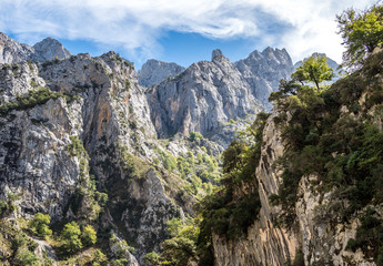 Spanien - Kantabrien - Picos de Europa - Garganta del Cares