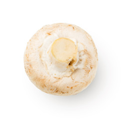 Champignon isolated on white background cutout