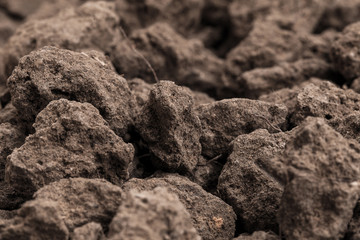 Closeup Soil texture brown background. Soil is a mixture of organic matter, minerals, gases, liquids, and organisms. it is a medium for plant growth, for use organic gardening, agriculture.