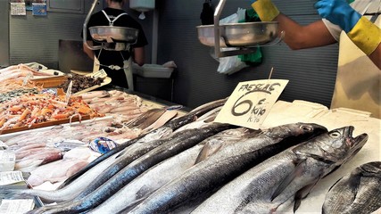 Fish market in Malaga (Spain)