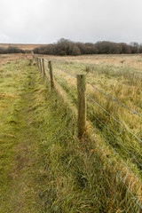 Nature scene of the Northern English moors