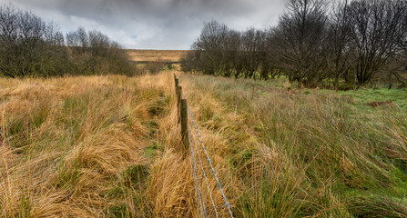 Nature scene of the Northern English moors © miketea88