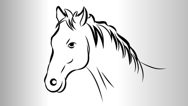 Horse face Vector