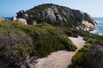 Tongue Point in Wilsons Promontory NP