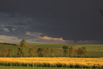 Obraz premium thüringer Land