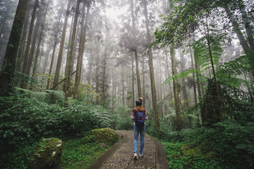 Obraz premium Young woman traveler walking in the forest