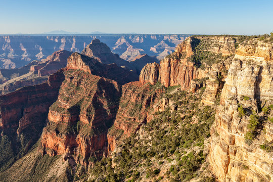 Scenic North Rim Grand Canyon Landscape