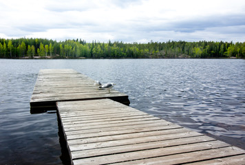 Wooden pier with seagulls on beautiful lake in the national park Repovesi, Finland, South Karelia.