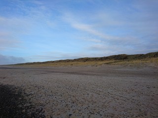 Dünenlandschaft an dänemarks Nordseeküste