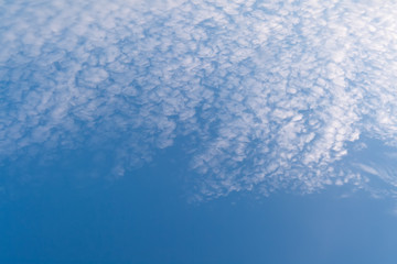Fototapeta na wymiar light clouds in the blue sky