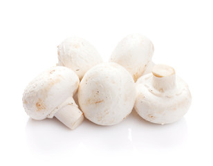Champignon mushrooms