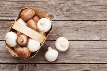 Champignon mushrooms