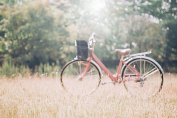 Blured bicycle in the park. Vintage tone.