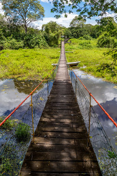 Pantanal in Brazil