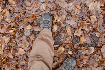 hiking boots on beech leaf ground