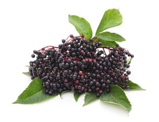 Black elderberry fruit.