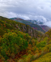 Nublada escenade otoño en la montaña