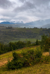 rural area in mountains on a cloudy foggy morning. gloomy but gorgeous landscape with trees and fields on a rolling hills in autumn