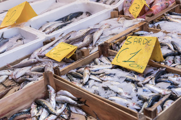 Colorful choice of fish at traditional market in Palermo, Sicily, Italy