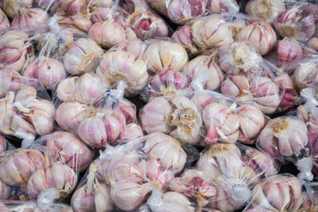 fresh garlics in a market
