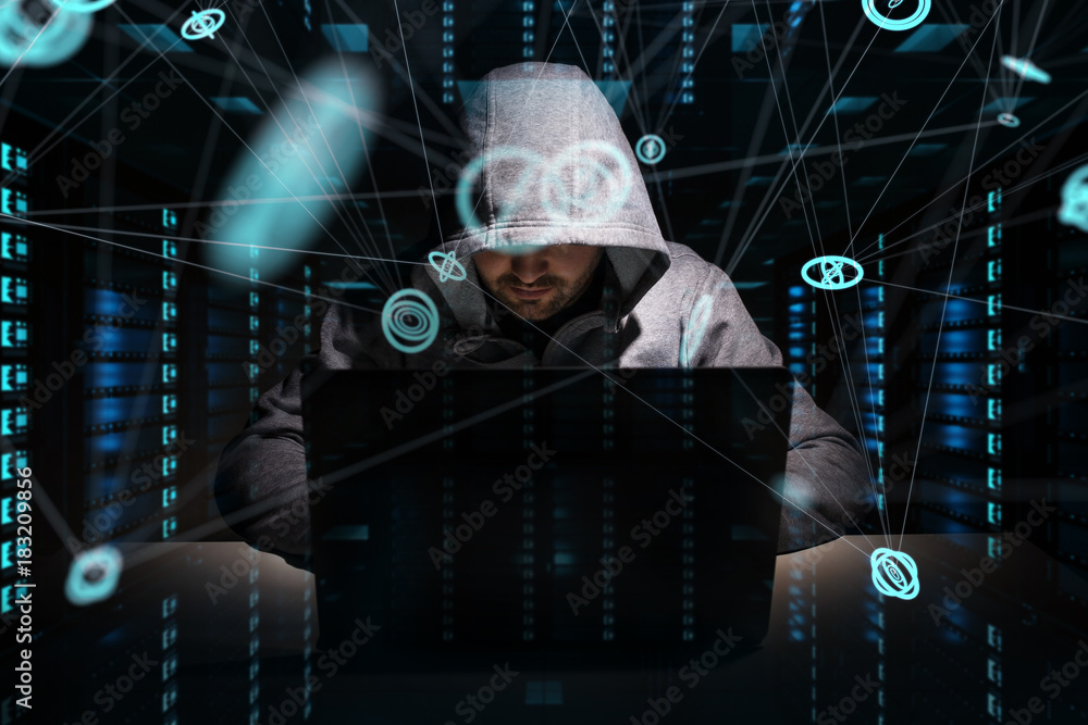 Leinwandbilder Hacker accessing to personal data information with a computer 3D rendering