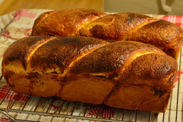 Sweet bread from traditional Romanian cuisine Christmas tradition