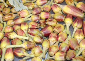 artichokes freshly harvested for sale in the fruit and vegetable