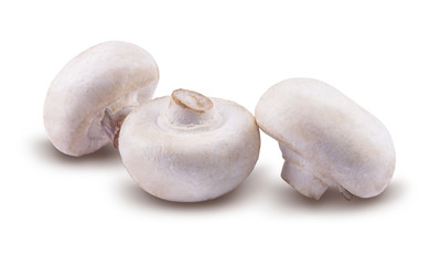 Champignons are isolated on a white background