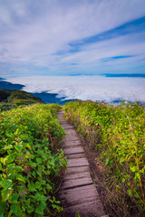 Scenic sea of fog with wooden walk way in Kew Mae Pan nature trail at sunrise. The Doi Inthanon National Park in Chiang Mai, Thailand