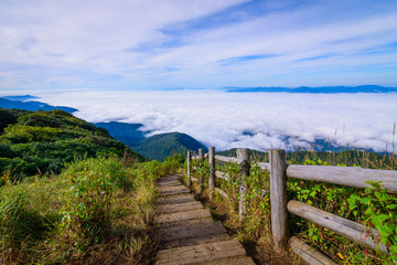 Fototapeta na wymiar Scenic sea of fog with wooden walk way in Kew Mae Pan nature trail at sunrise. The Doi Inthanon National Park in Chiang Mai, Thailand