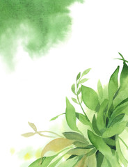 Watercolor green background of green branch, leaves and splash