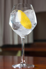Gin Tonics