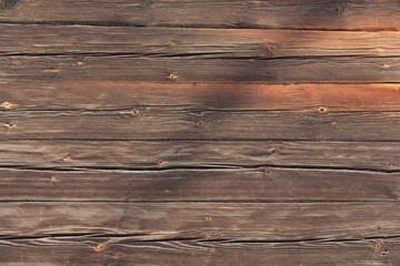 Fototapeta premium Tapeta drewniana
